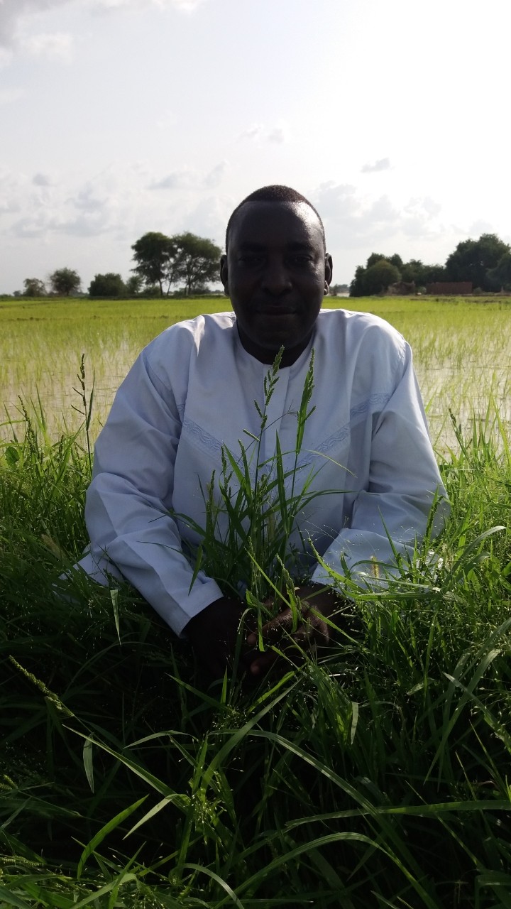 Fondateur assis champ de riz