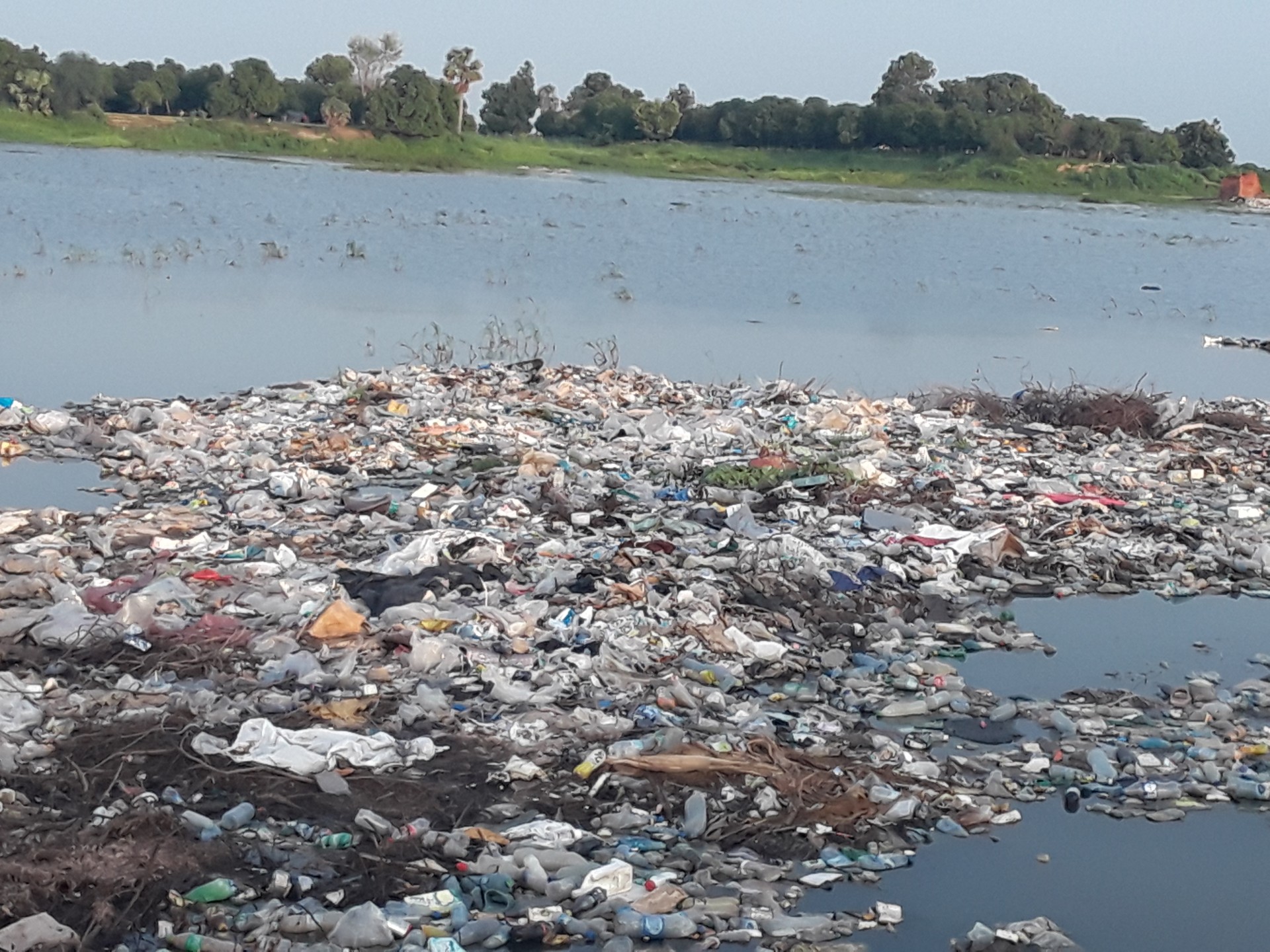 Polution par les sacs en plastique