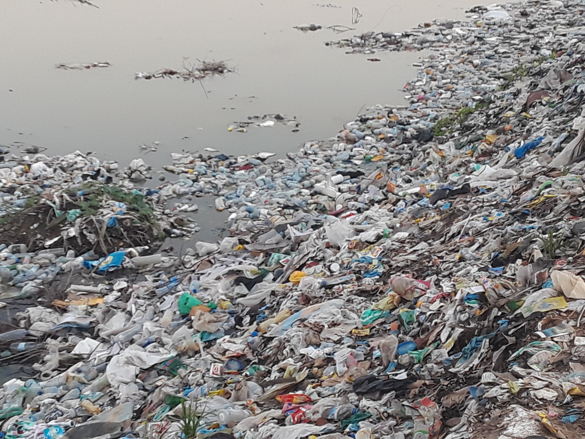 Polution par les sacs en plastique
