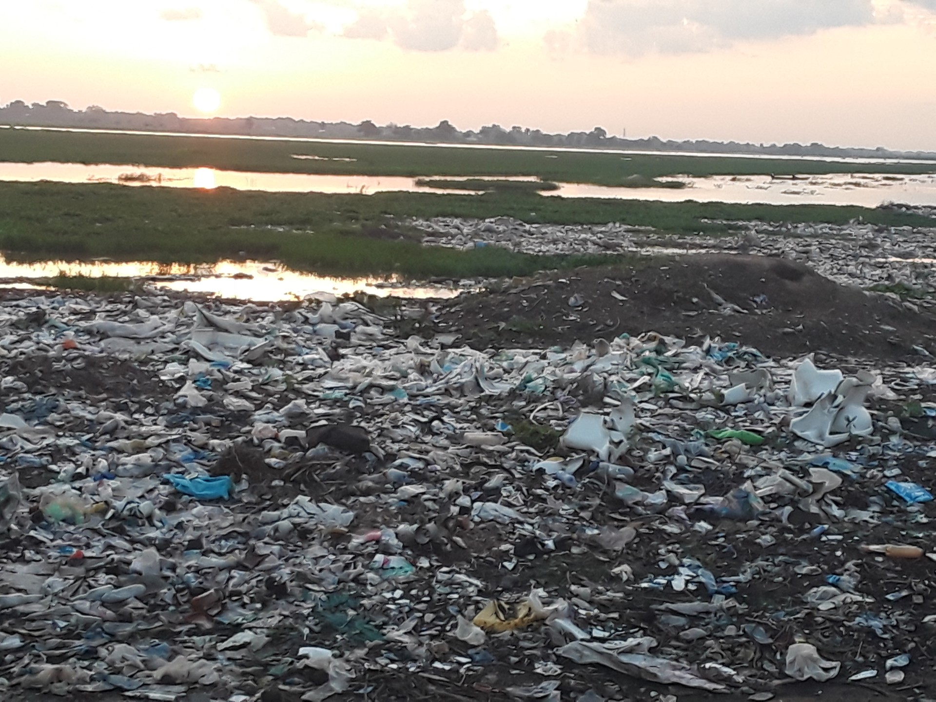 Polution par les sacs en plastique
